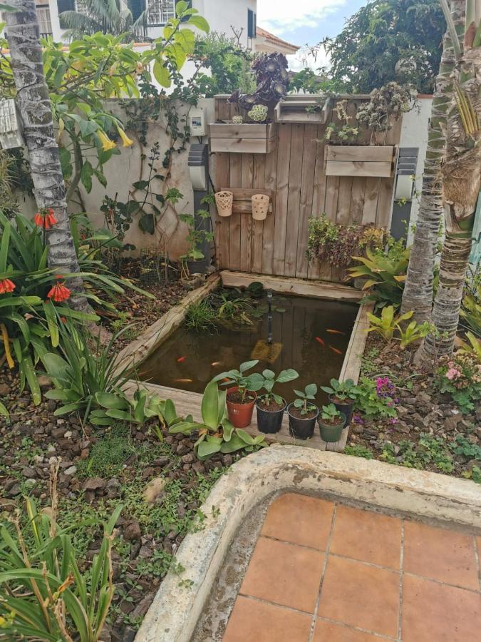 Appartement jardin44 à Santa Úrsula Extérieur photo