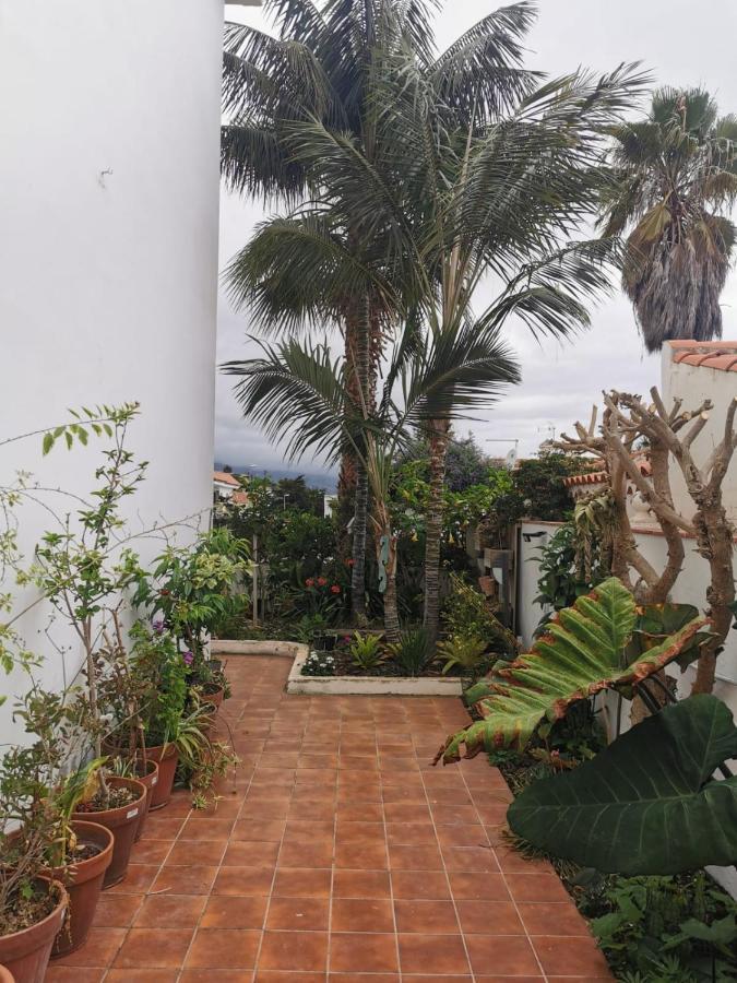 Appartement jardin44 à Santa Úrsula Extérieur photo